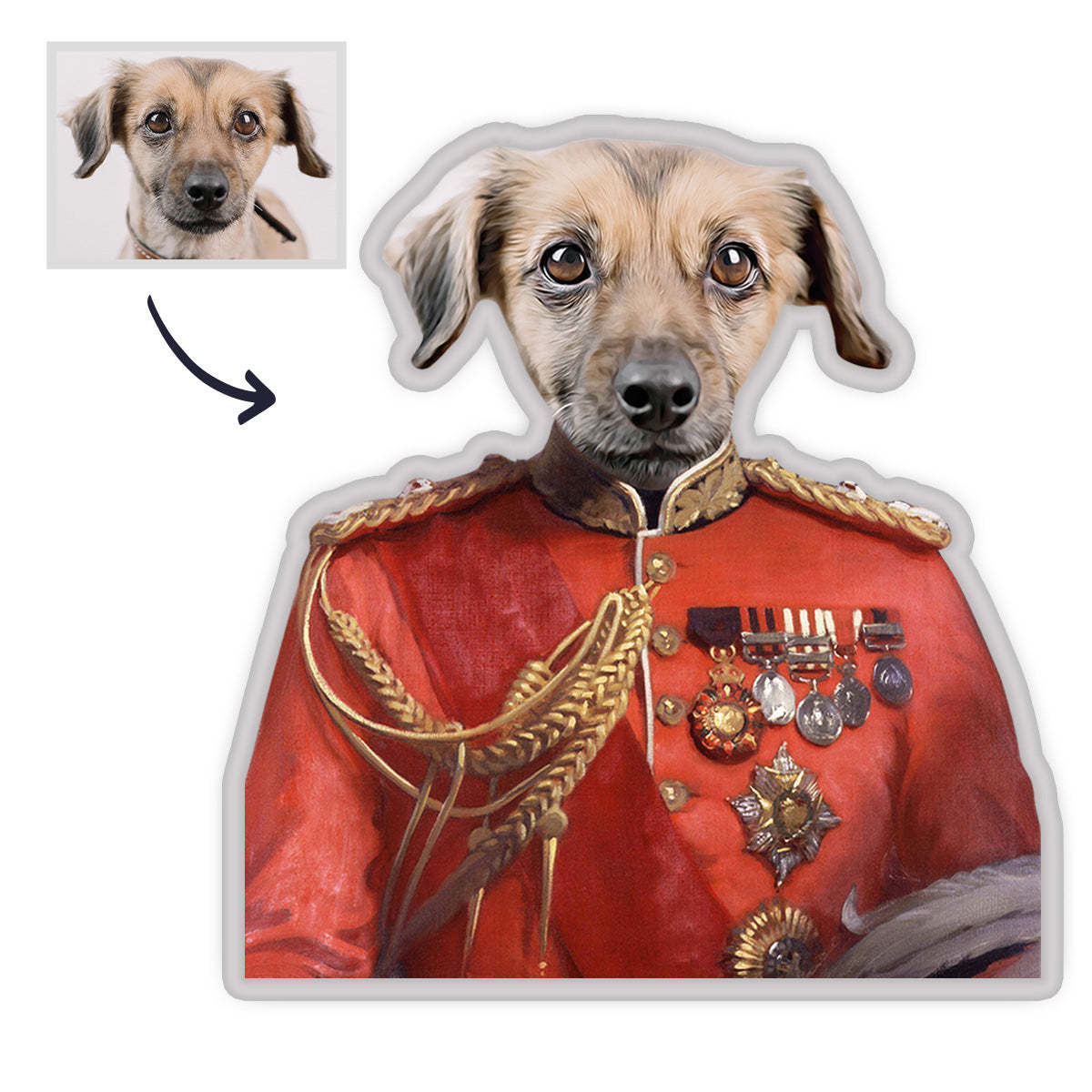 Haustier Portrait Kissen Astronaut König MiniMe Kissen Royal Haustier Körperpuppen Kissen Gesichtskissen Einzigartiges Geschenk