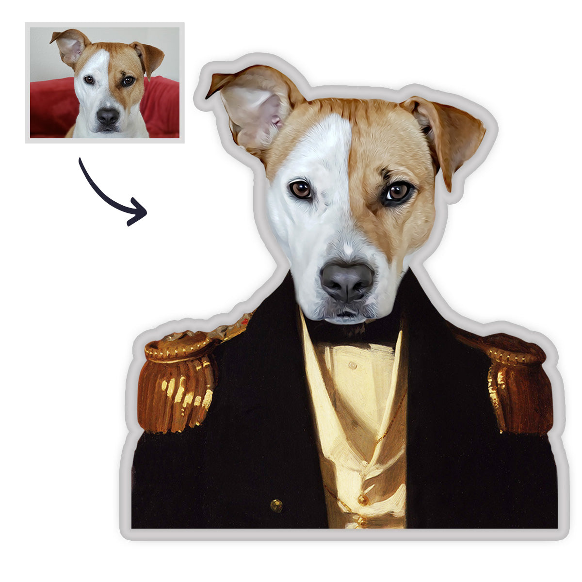 Haustier Portrait Kissen Astronaut König MiniMe Kissen Royal Haustier Körperpuppen Kissen Gesichtskissen Einzigartiges Geschenk