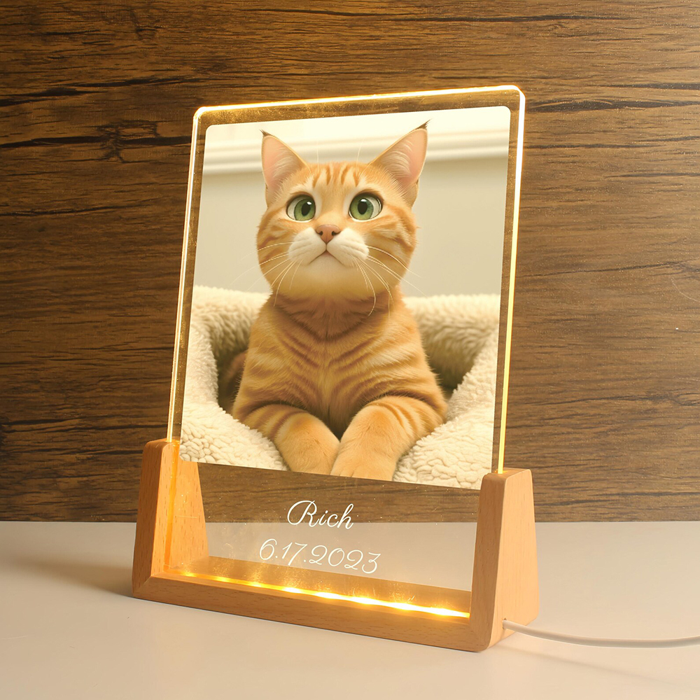 Cartoon Porträt Nachtlicht Mit Foto Hund Katze Personalisierte Haustierlampe