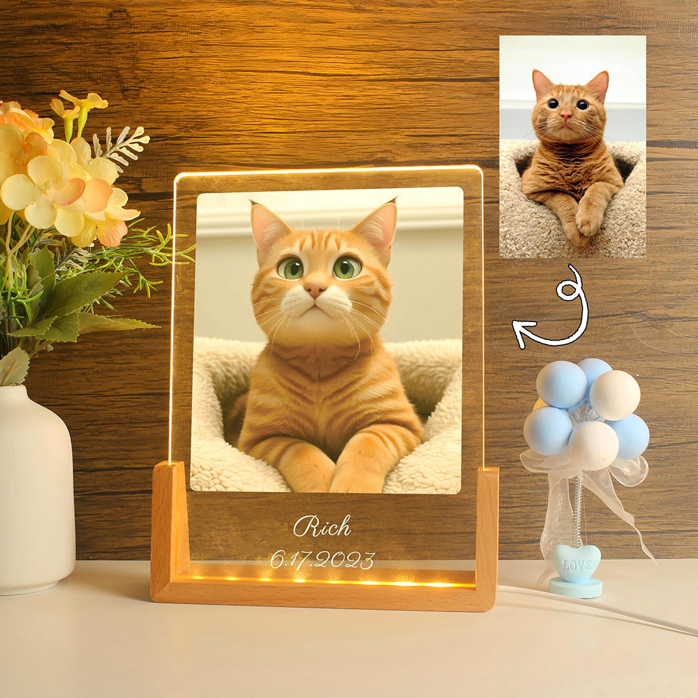 Cartoon Porträt Nachtlicht Mit Foto Hund Katze Personalisierte Haustierlampe