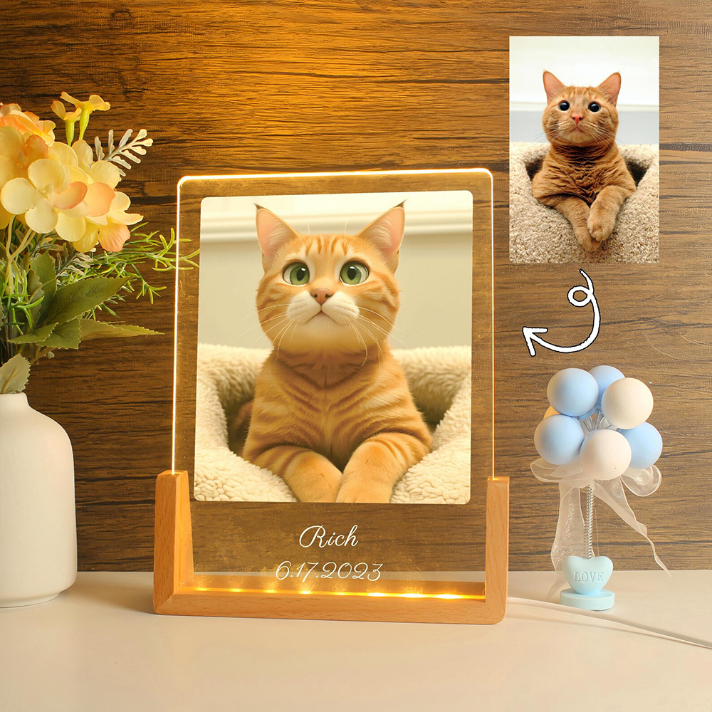 Cartoon Porträt Nachtlicht Mit Foto Hund Katze Personalisierte Haustierlampe