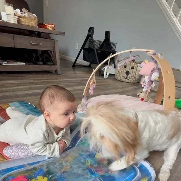 😻Water Play Mat for Kids & Pets