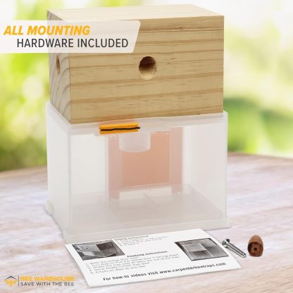 🔥This week special sales-🐝Eifrt™Carpenter Bee Trap