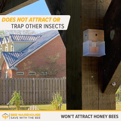 🔥This week special sales-🐝Eifrt™Carpenter Bee Trap