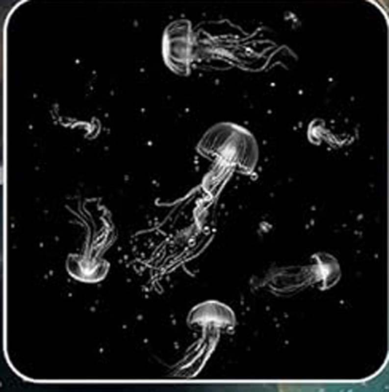 Romantic atmosphere-themed star projector lamp（A random gift of two starry sky discs）