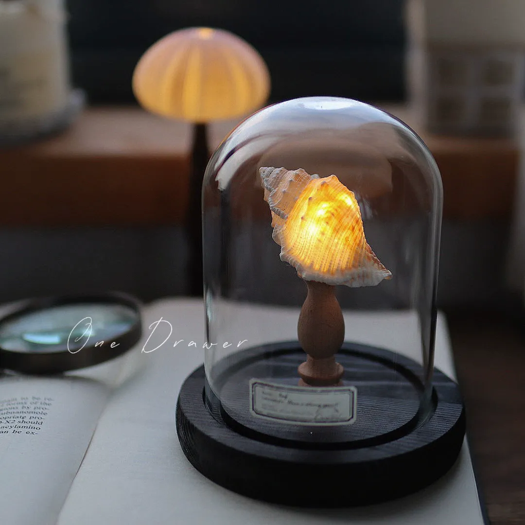DIY Led Room Decoration Sea urchin Conch lamp Night Lights for bedroom kids Christmas gifts battery powered luces decorativas
