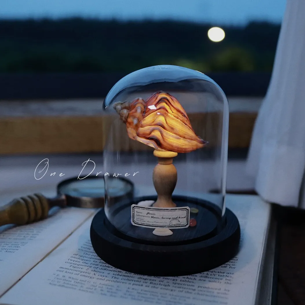 DIY Led Room Decoration Sea urchin Conch lamp Night Lights for bedroom kids Christmas gifts battery powered luces decorativas