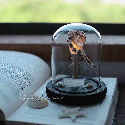 DIY Led Room Decoration Sea urchin Conch lamp Night Lights for bedroom kids Christmas gifts battery powered luces decorativas