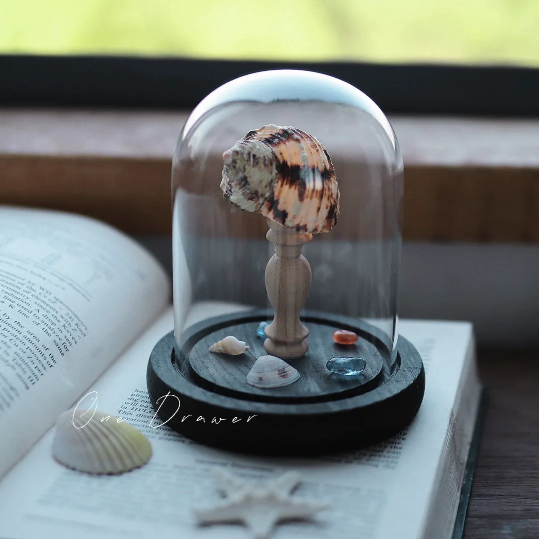 DIY Led Room Decoration Sea urchin Conch lamp Night Lights for bedroom kids Christmas gifts battery powered luces decorativas