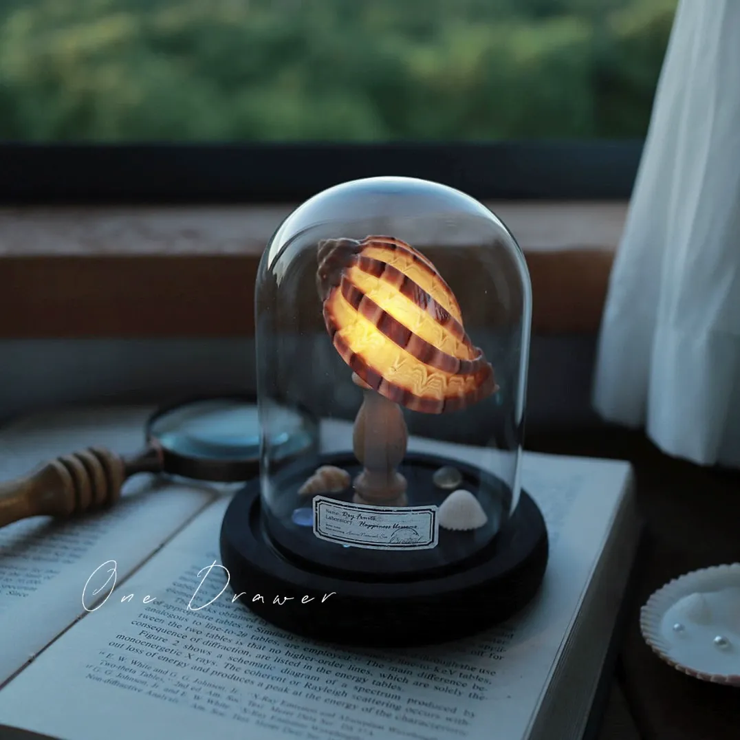 DIY Led Room Decoration Sea urchin Conch lamp Night Lights for bedroom kids Christmas gifts battery powered luces decorativas