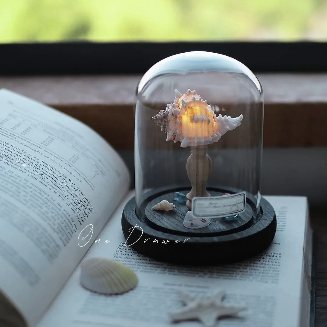 DIY Led Room Decoration Sea urchin Conch lamp Night Lights for bedroom kids Christmas gifts battery powered luces decorativas