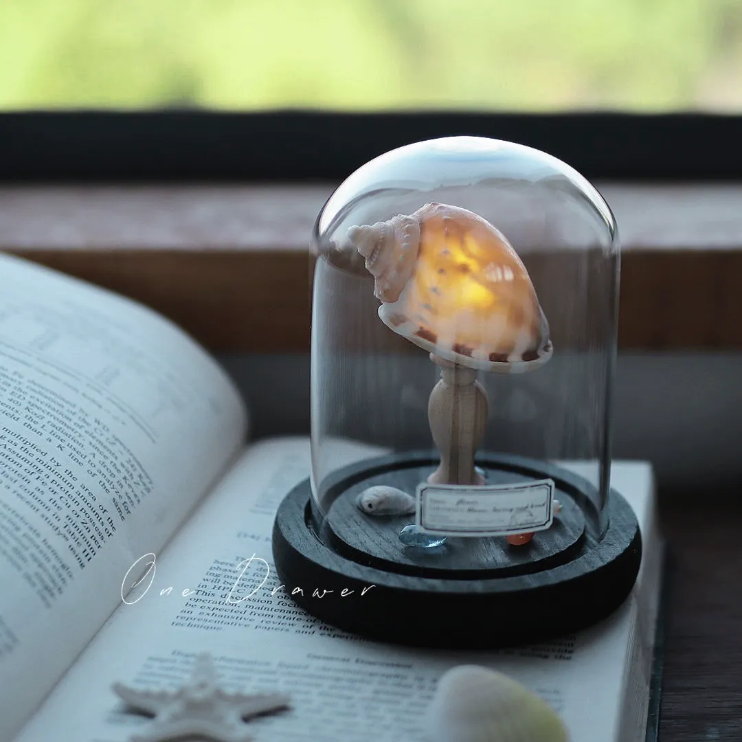 DIY Led Room Decoration Sea urchin Conch lamp Night Lights for bedroom kids Christmas gifts battery powered luces decorativas