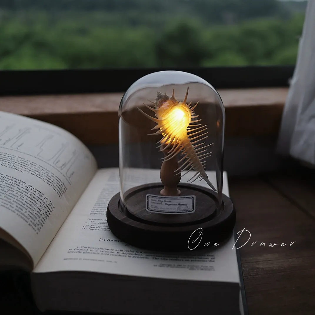 DIY Led Room Decoration Sea urchin Conch lamp Night Lights for bedroom kids Christmas gifts battery powered luces decorativas