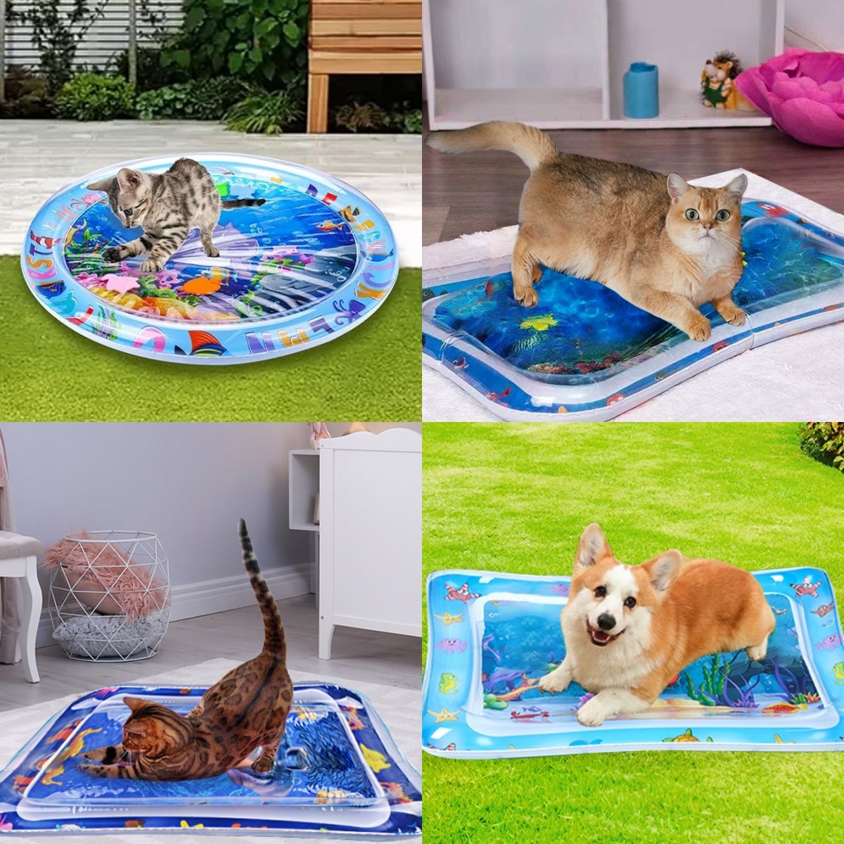 😻Water Play Mat for Kids & Pets