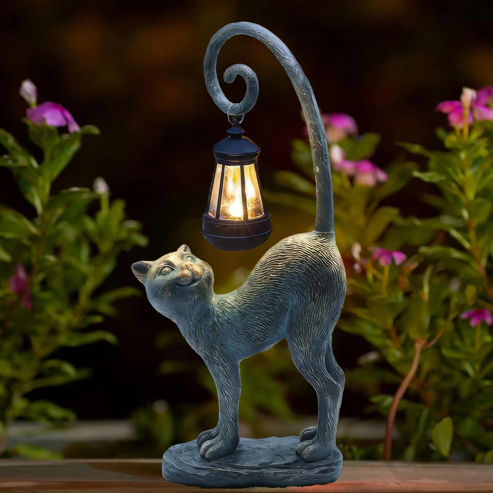 Whisker Wonder Cat