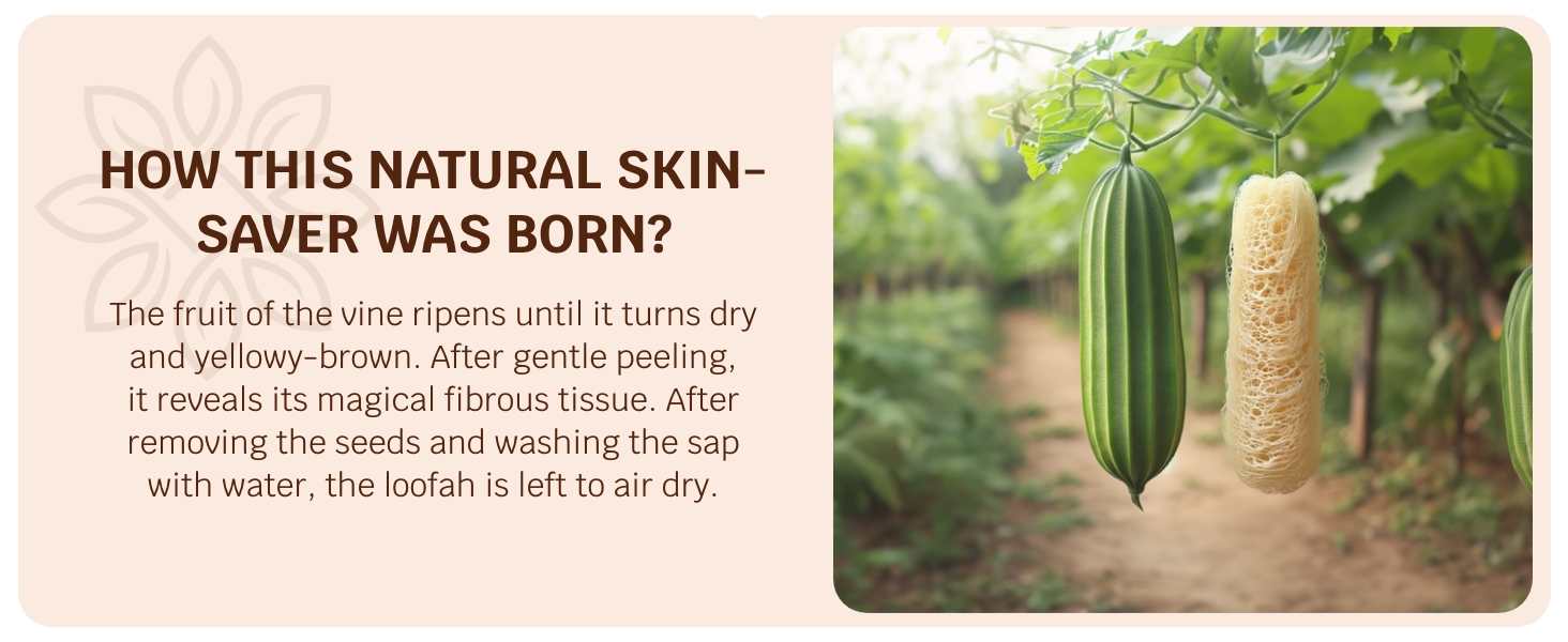 Back Scrubber Loofah