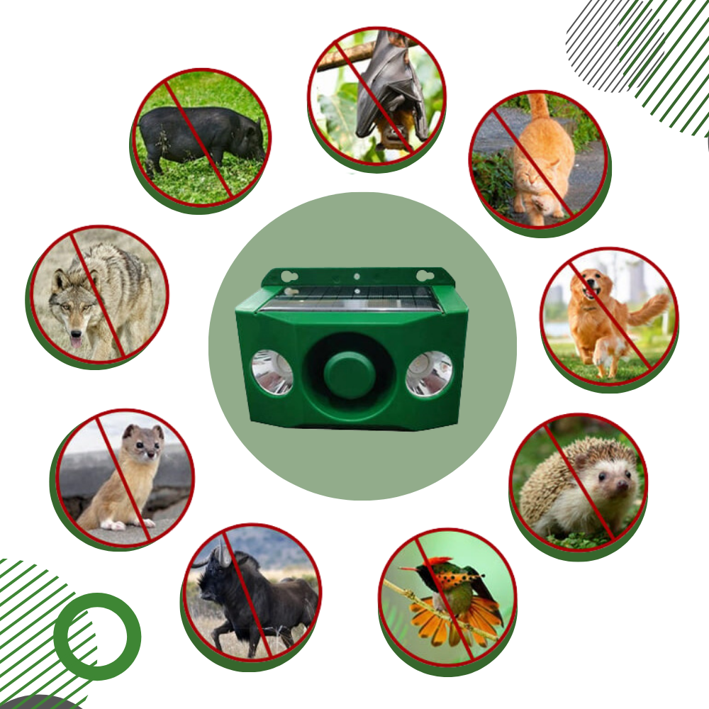 Solar Motion-Activated Dog Repellent
