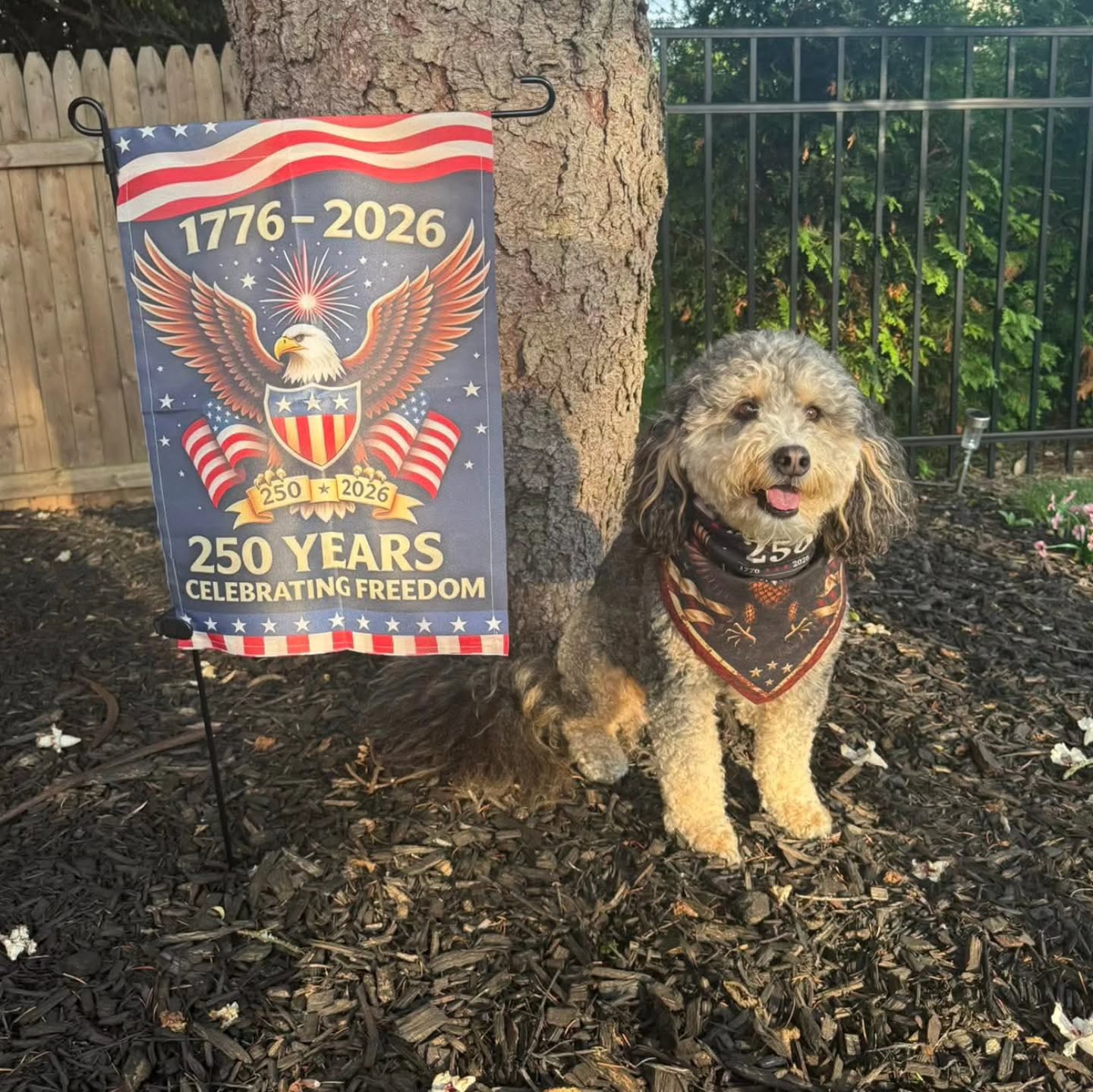 🦅 America’s 250th Anniversary Commemorative Pet Bandana