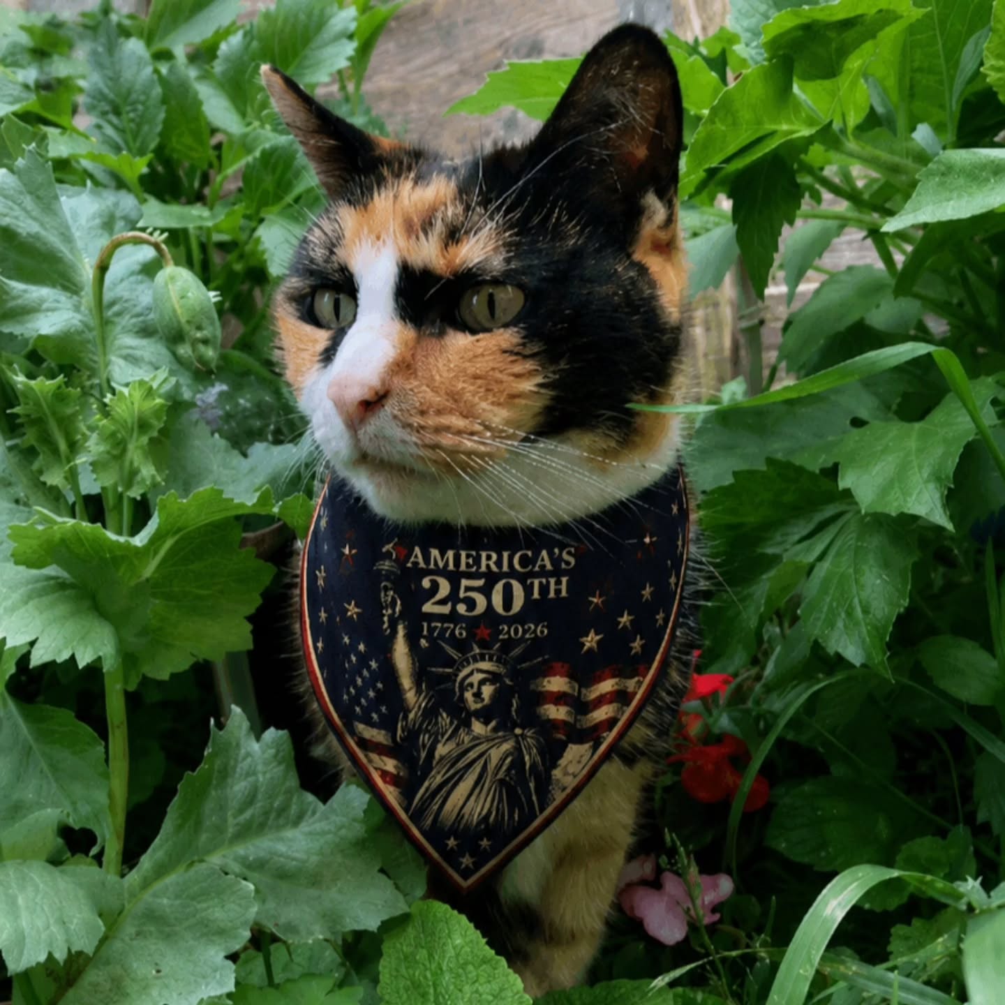 🦅 America’s 250th Anniversary Commemorative Pet Bandana