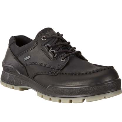 ECthtCO Mens Track 25 Low Gore-Tex Leather Shoes
