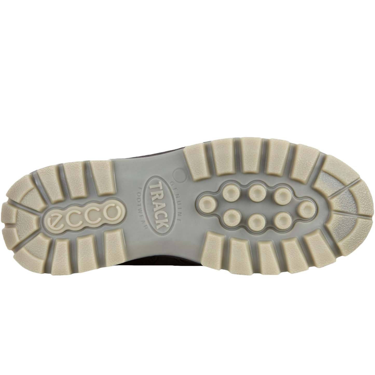 ECthtCO Mens Track 25 Low Gore-Tex Leather Shoes