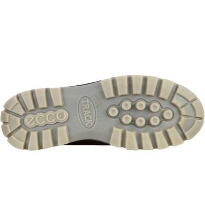 ECthtCO Mens Track 25 Low Gore-Tex Leather Shoes