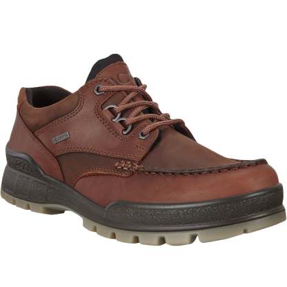ECthtCO Mens Track 25 Low Gore-Tex Leather Shoes