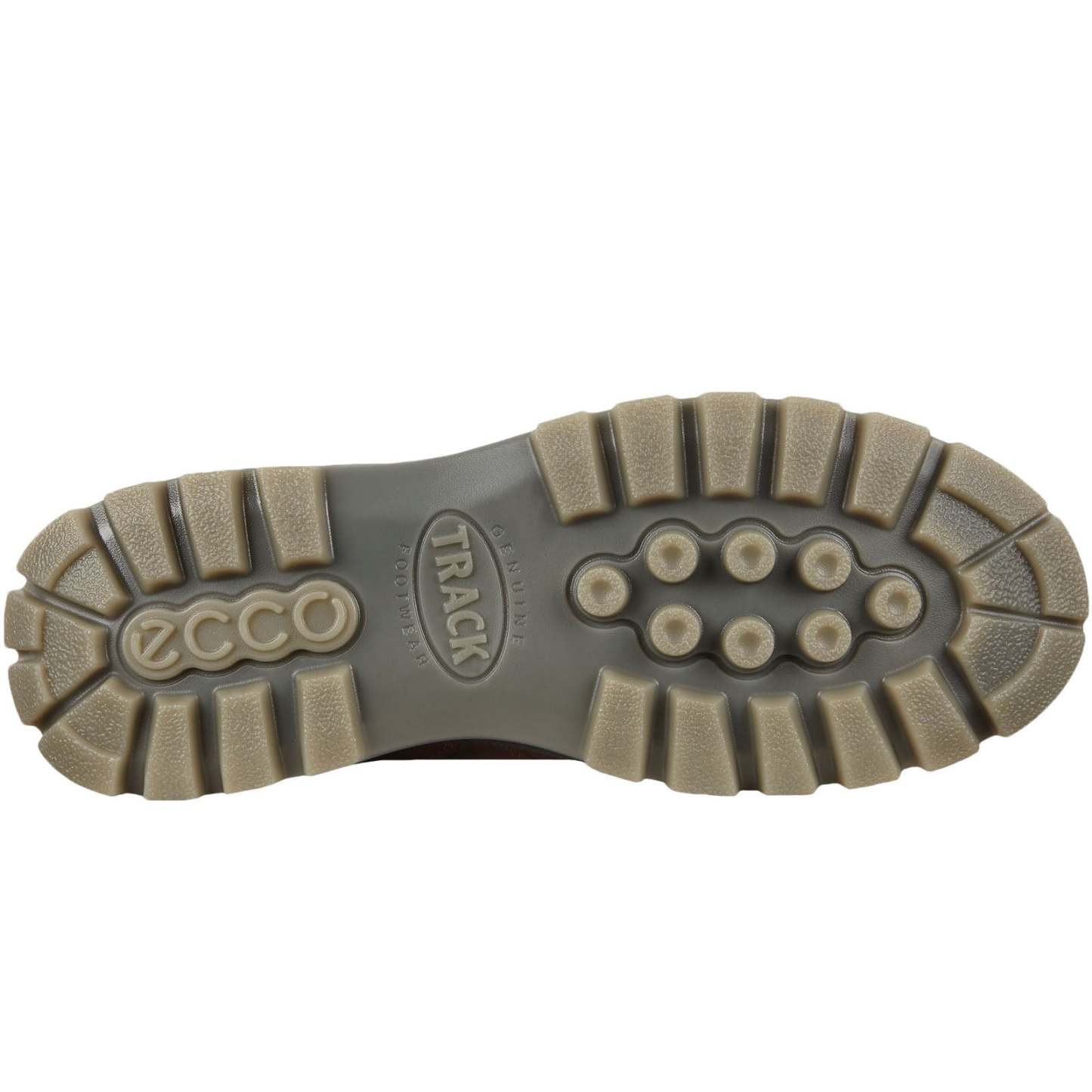 ECthtCO Mens Track 25 Low Gore-Tex Leather Shoes