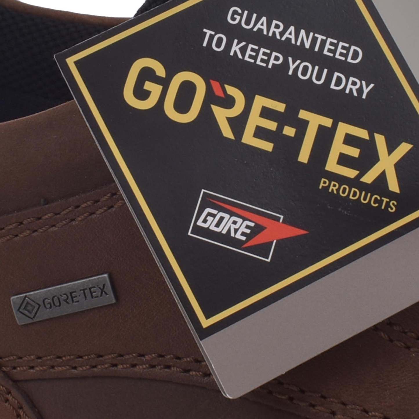 ECthtCO Mens Track 25 Low Gore-Tex Leather Shoes