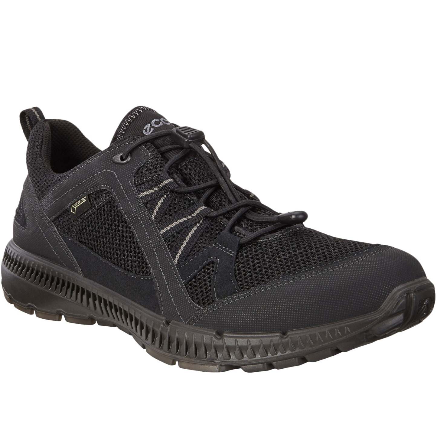 ECthtCO Mens Terracruise II Gore-Tex Walking Trainers