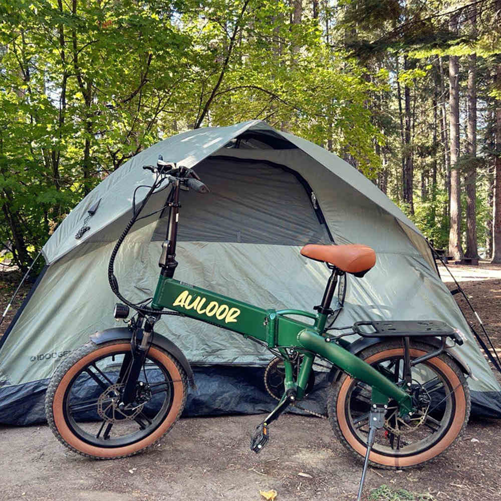 Auloor NXB Fat Tire Electric Bike