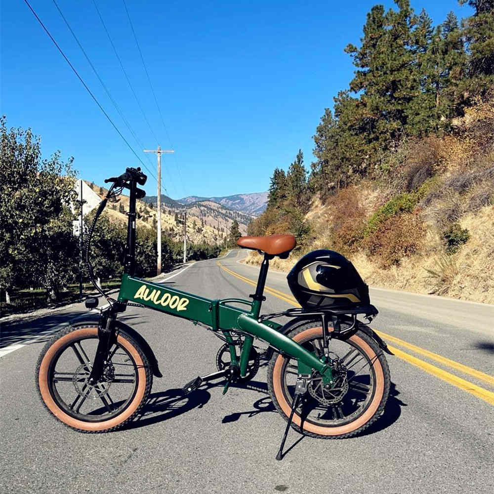 Auloor NXB Fat Tire Electric Bike