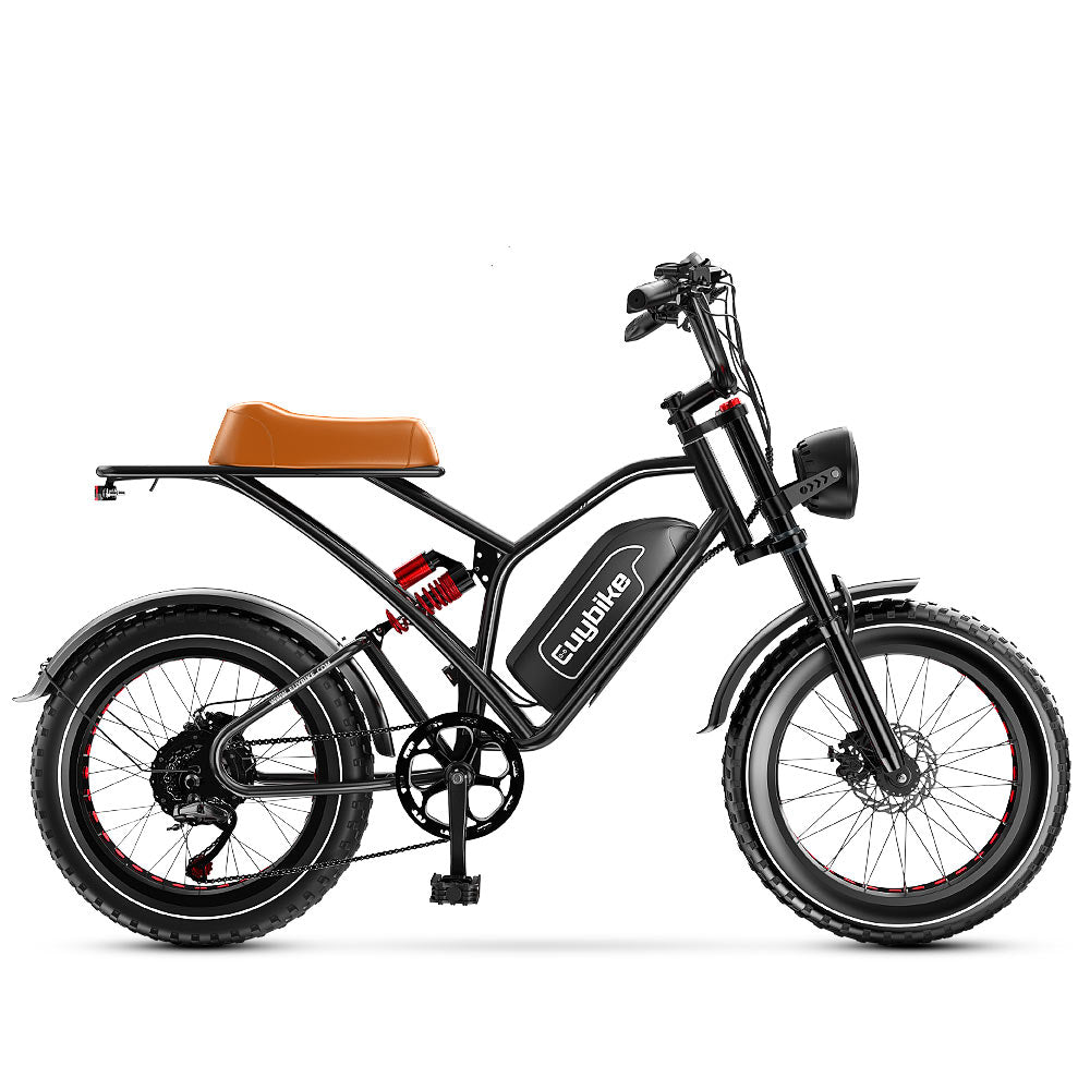 S4 Long Range Moped-Style Electric Bike
