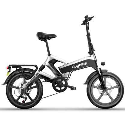 Folding Electric Bike