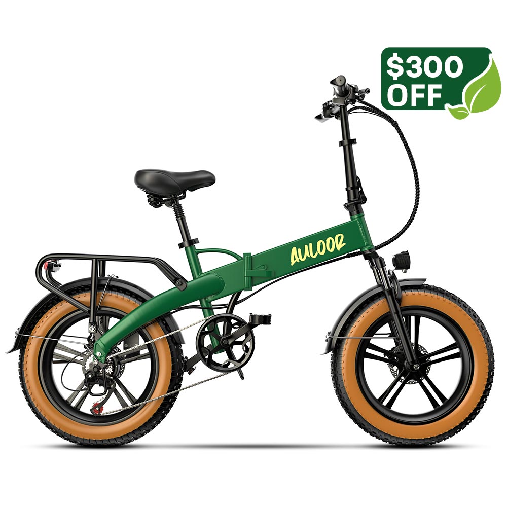 Auloor NXB Fat Tire Electric Bike