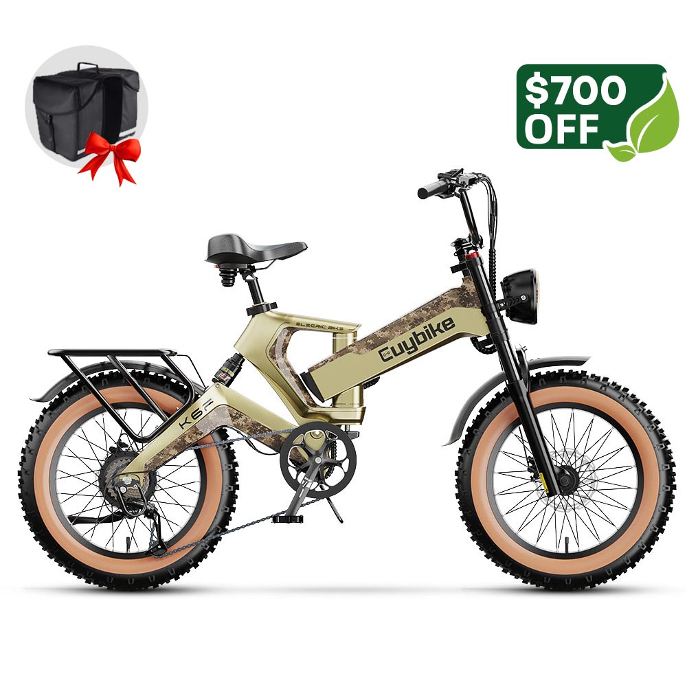 K6 Pro (K6F) Long Range Fat Tire Electric Bike