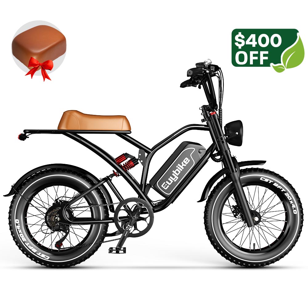 S4 Long Range Moped-Style Electric Bike