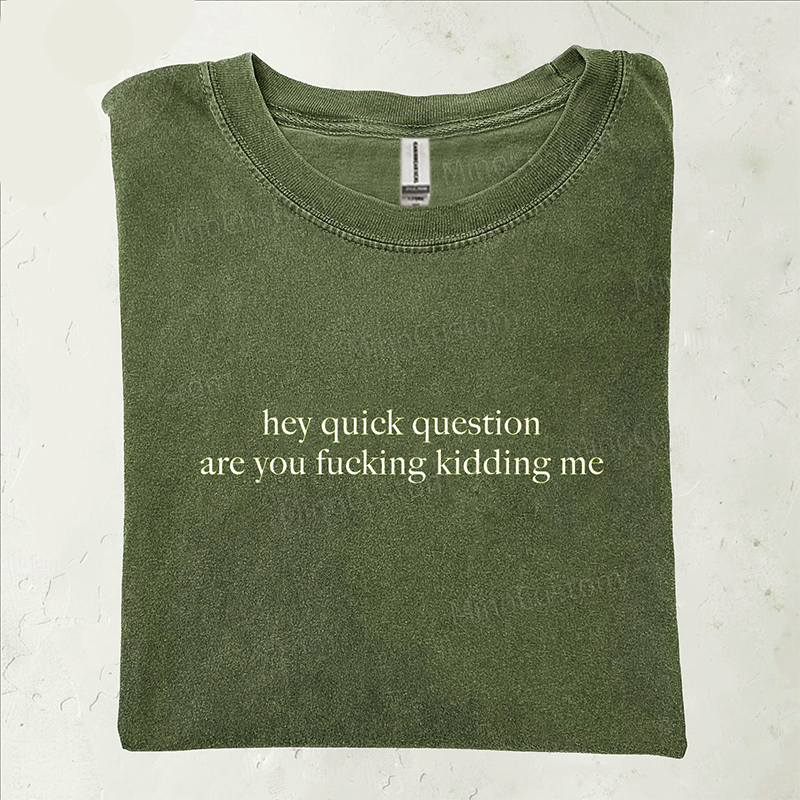 Hey Quick Question Are You Kidding Me T-shirt