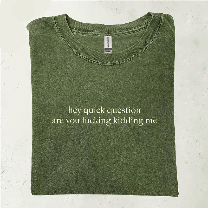 Hey Quick Question Are You Kidding Me T-shirt
