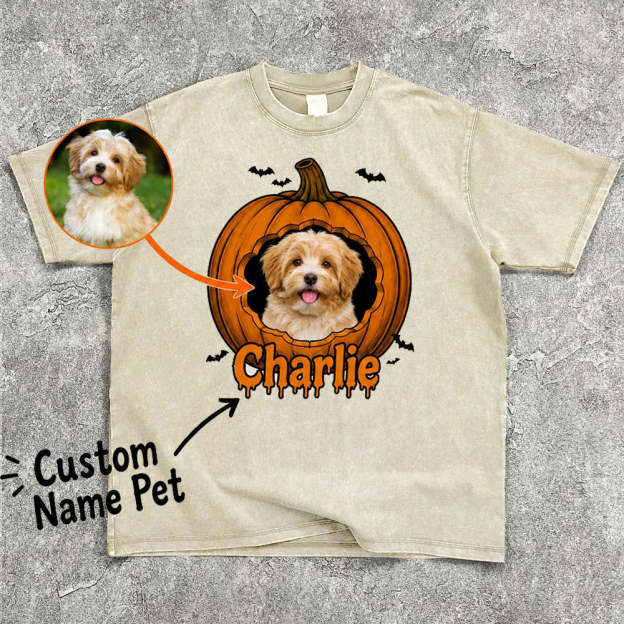 Personalized Pet Halloween Washed T-Shirt 