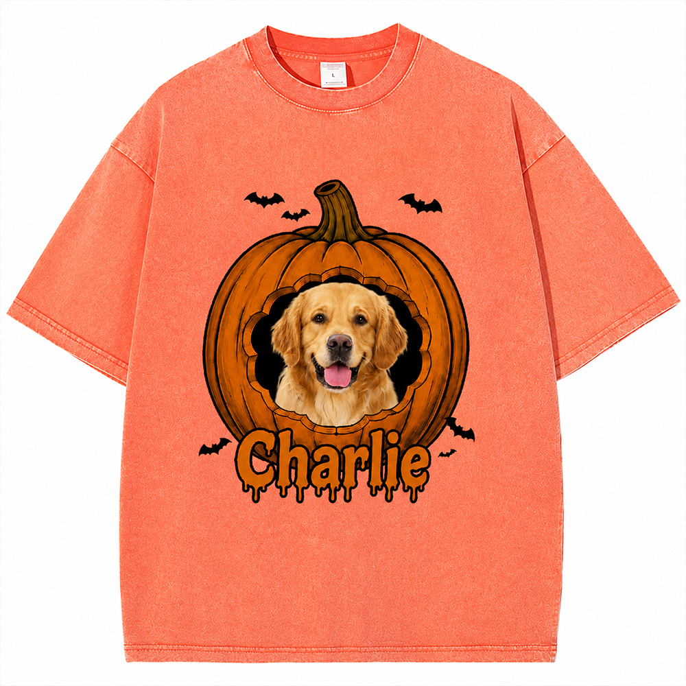 Personalized Pet Halloween Washed T-Shirt 