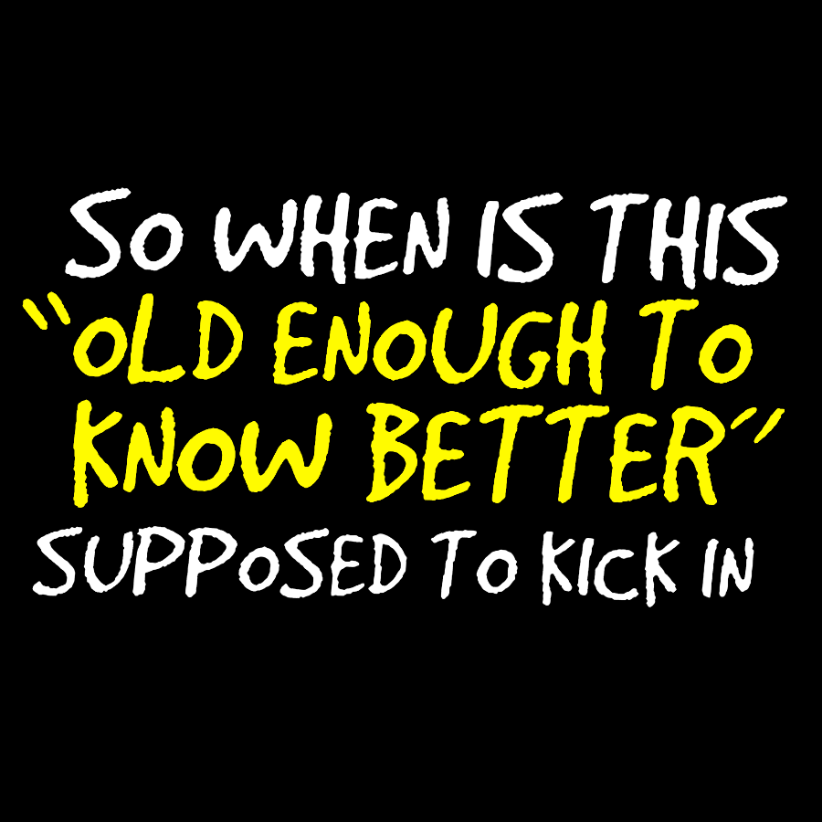 So When Is This Old Enough To Know Better Supposed To Kick In Geek T-Shirt