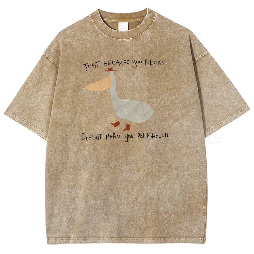 Just-becavse-you-pelican-doesnt-mean-you-pelishould-washed-t-shirt