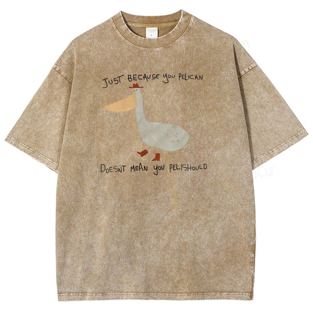 Just-becavse-you-pelican-doesnt-mean-you-pelishould-washed-t-shirt
