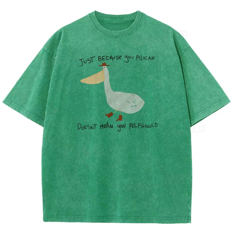 Just-becavse-you-pelican-doesnt-mean-you-pelishould-washed-t-shirt