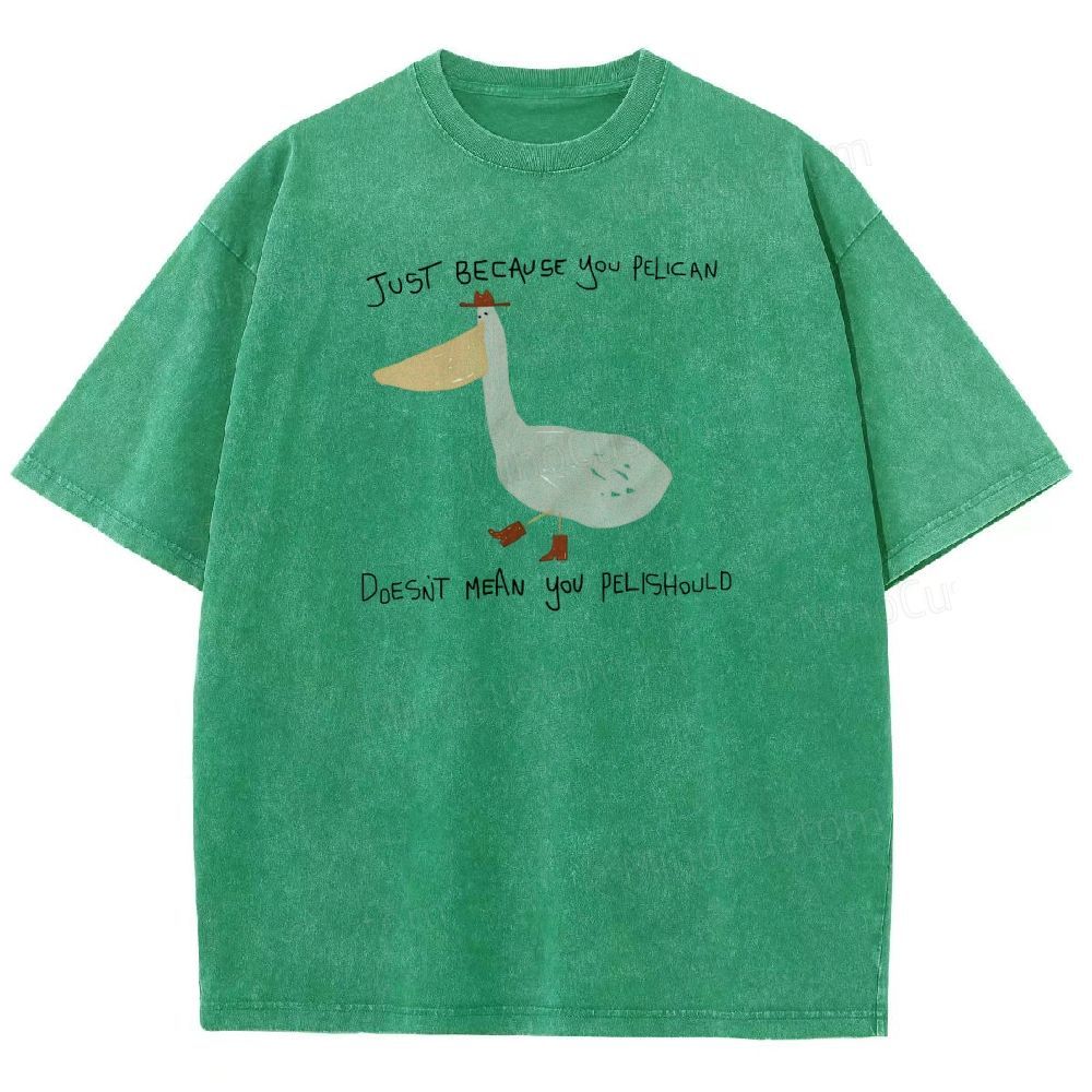 Just-becavse-you-pelican-doesnt-mean-you-pelishould-washed-t-shirt