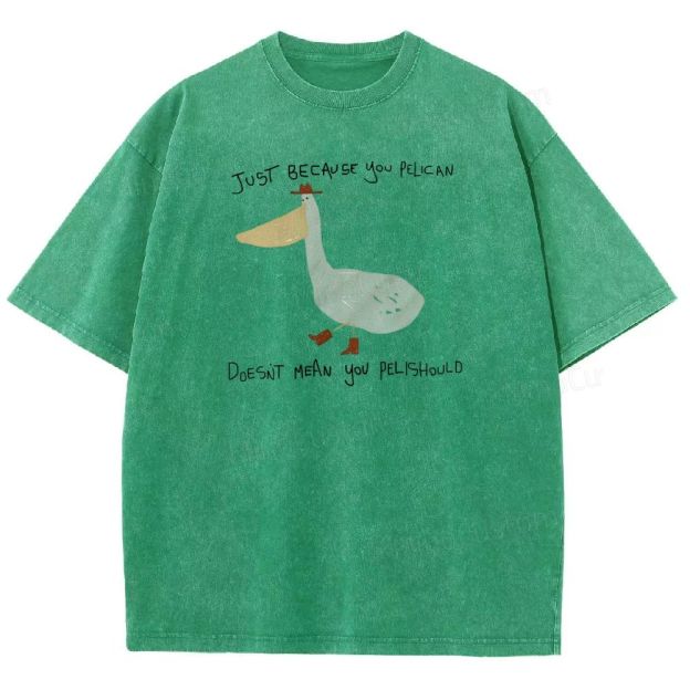 Just-becavse-you-pelican-doesnt-mean-you-pelishould-washed-t-shirt