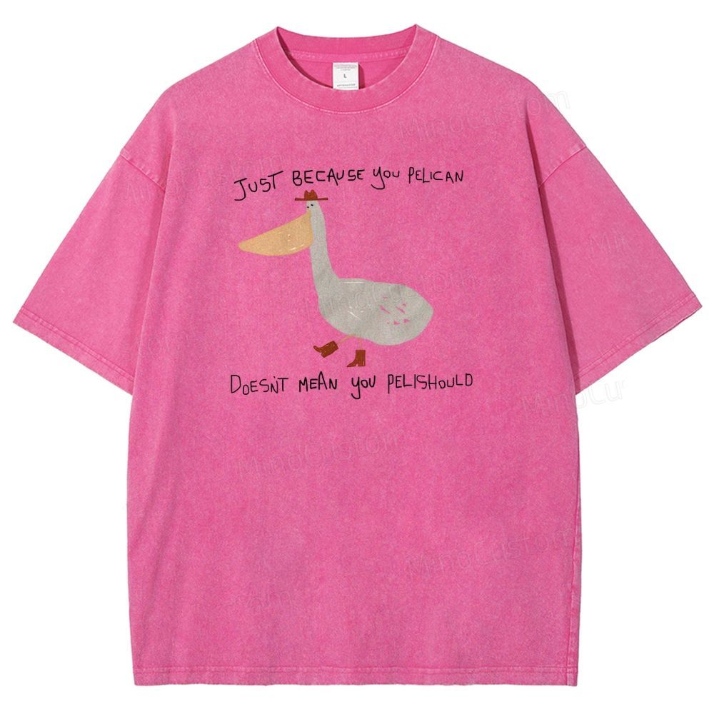 Just-becavse-you-pelican-doesnt-mean-you-pelishould-washed-t-shirt