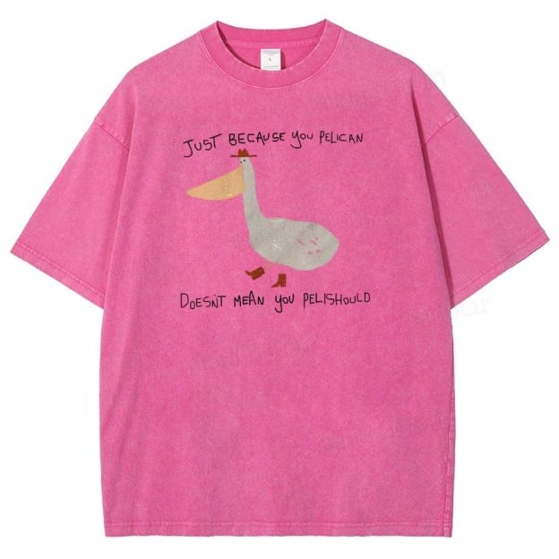 Just-becavse-you-pelican-doesnt-mean-you-pelishould-washed-t-shirt