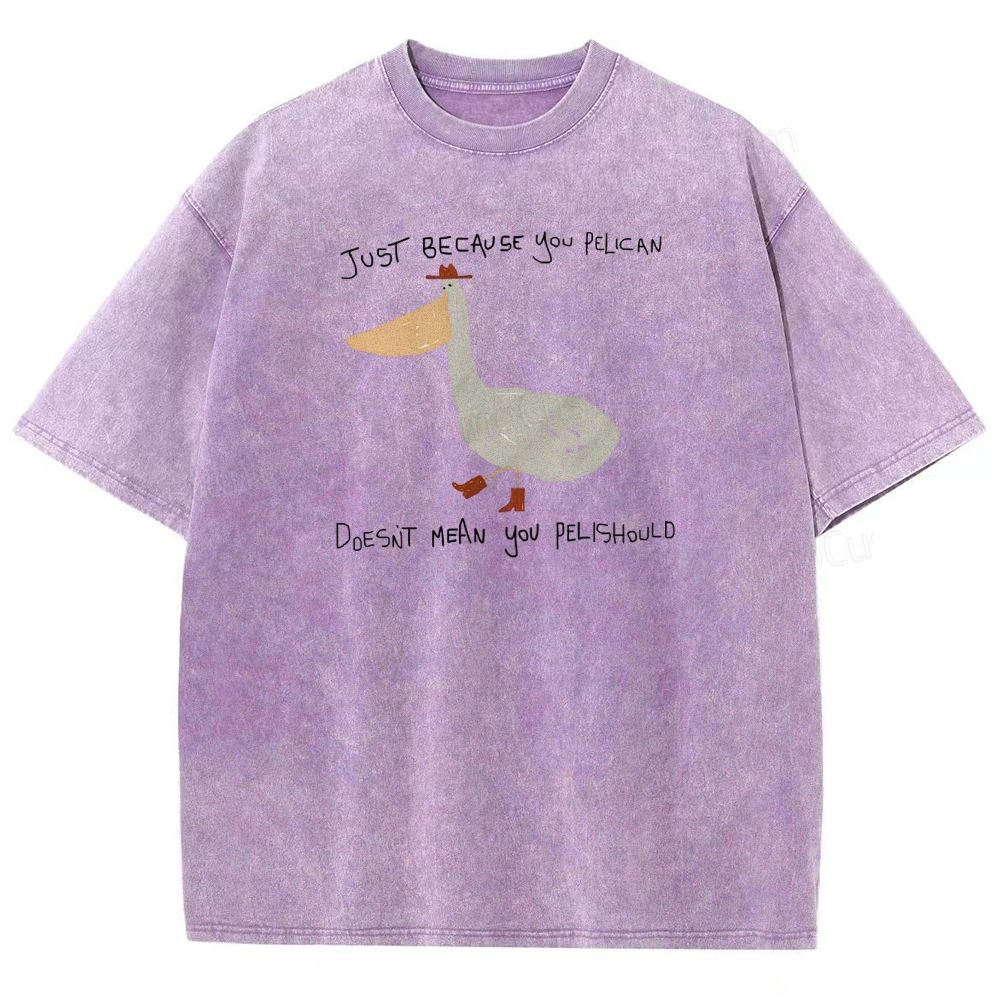 Just-becavse-you-pelican-doesnt-mean-you-pelishould-washed-t-shirt